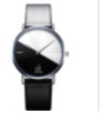 Double Color Watch