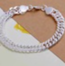 S925 Solid Silver Chain Flat Chain