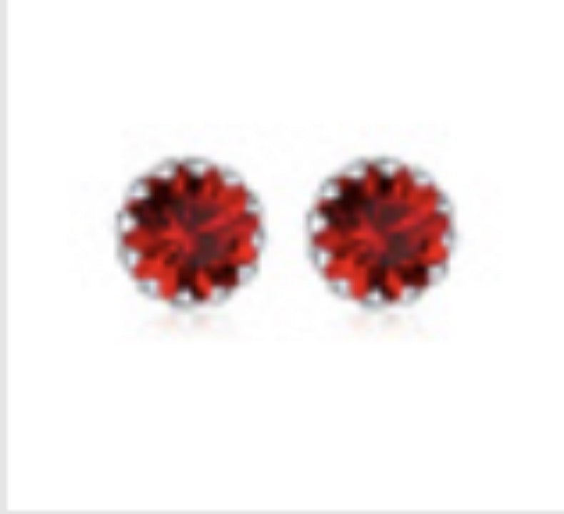 Silver Edge Birthstone Earrings
