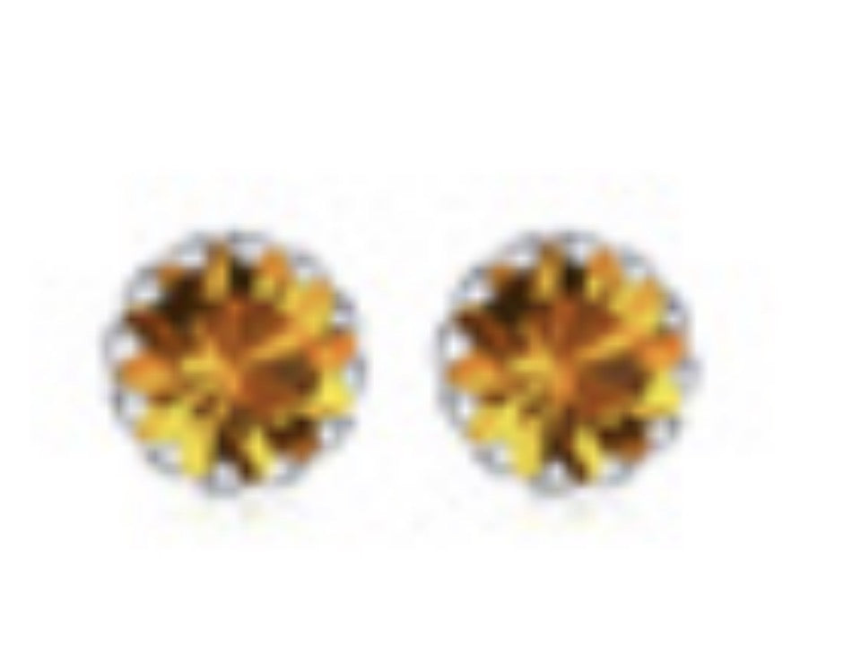 Silver Edge Birthstone Earrings