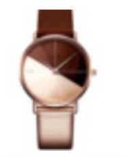 Double Color Watch