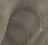 Round Silver Hook