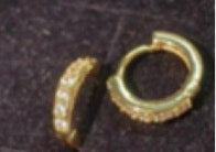 Zircon Gold Earhooks