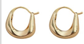 Oval-Shaped Hook Gold Earrings