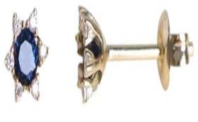 Blue Flower Zircon Earrings