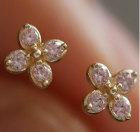 Pink Four-Leaf Flower