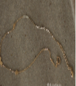 Mini Gradient Small Heart Anklet