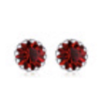 Silver Edge Birthstone Earrings