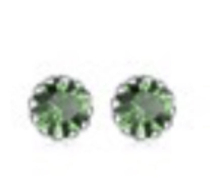 Silver Edge Birthstone Earrings