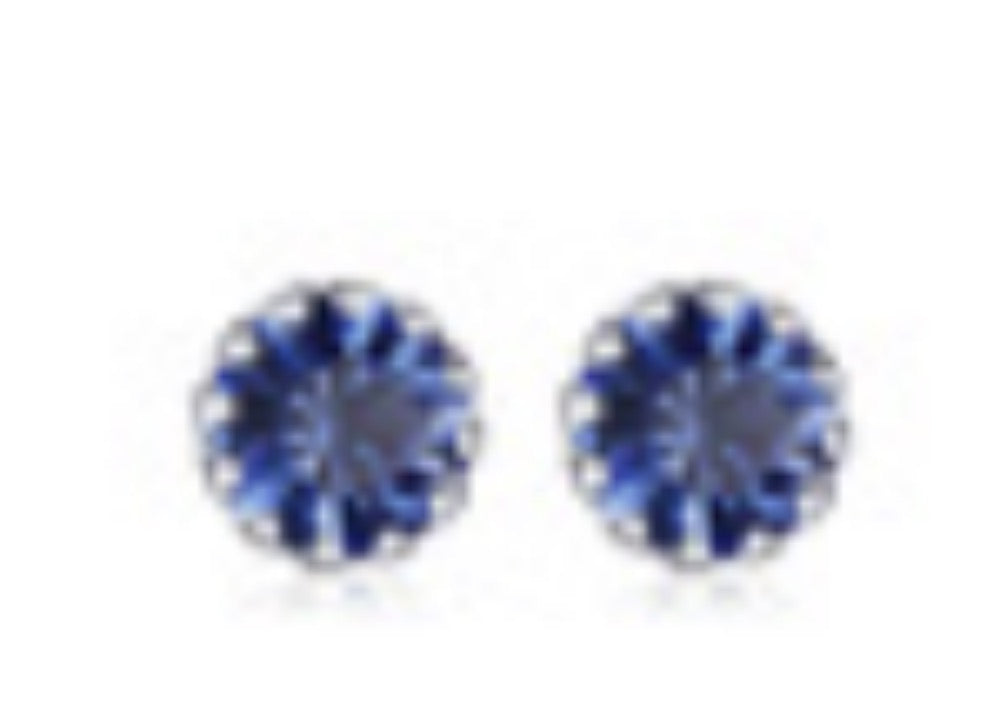Silver Edge Birthstone Earrings