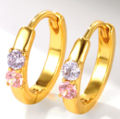 Elegant Gold Hoops