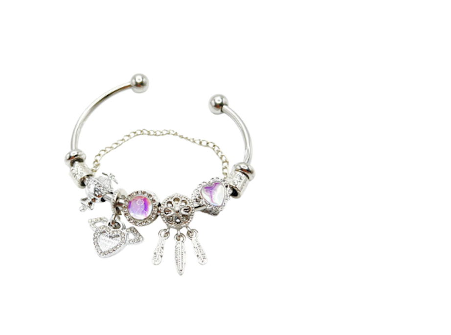 Pandora Series Bracelet (17+5cm)
